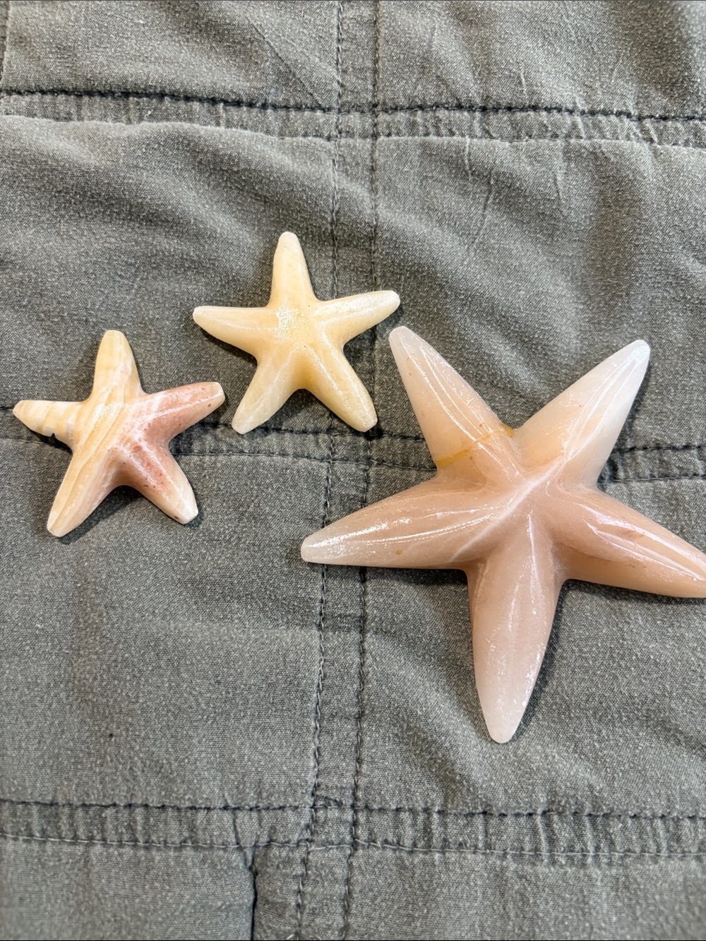 Handcrafted Beige & Peach Starfish  Decor Set - Brand Unspecified